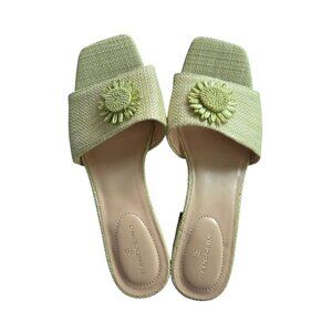 Bandolino Light Green Raffia Mule Sandal Women's 9.5 Boho Cottagecore